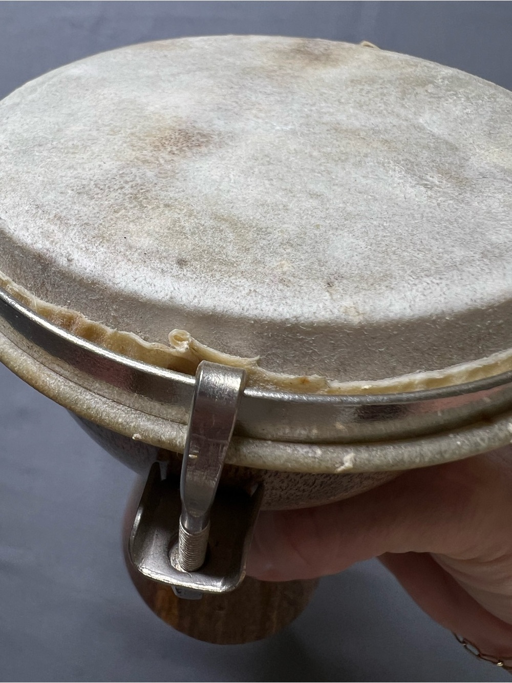 NWT Handcrafted in India Mini Wooden Djembe Hand Drum Natural Hide Percussion - Picture 8 of 9